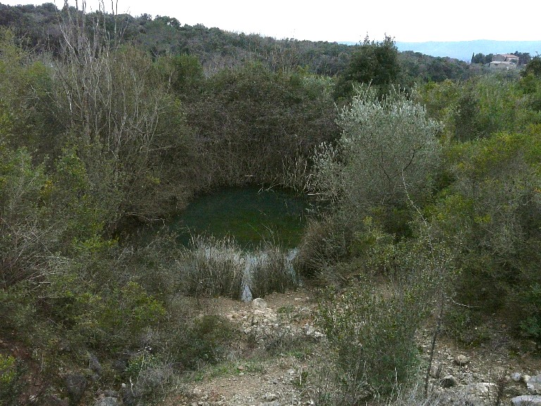 In un podere vicino Massa Marittima (GR)